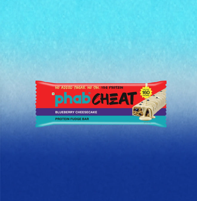 15g Protein Cheat Bar - Blueberry Cheesecake - 50 g